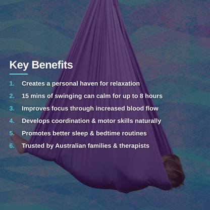 Premium Sensory Swing